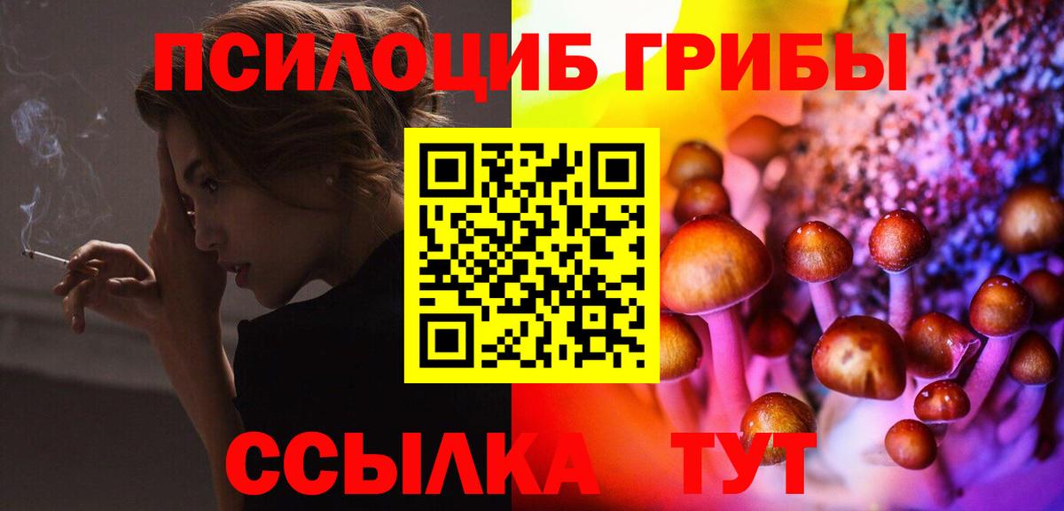 Псилоцибиновые грибы Psilocybine cubensis  Вход с VPN  Псилоцибиновые грибы Psilocybe  Сегежа 