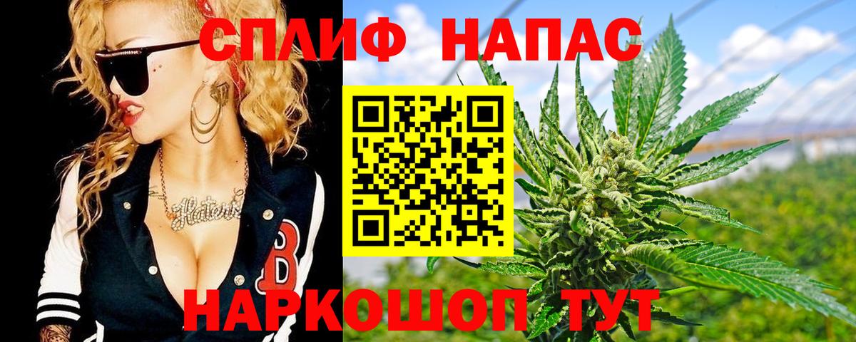 Конопля ГИДРОПОН  Вход с VPN  Бошки марихуана THC 21%  Сегежа  Марихуана сатива 